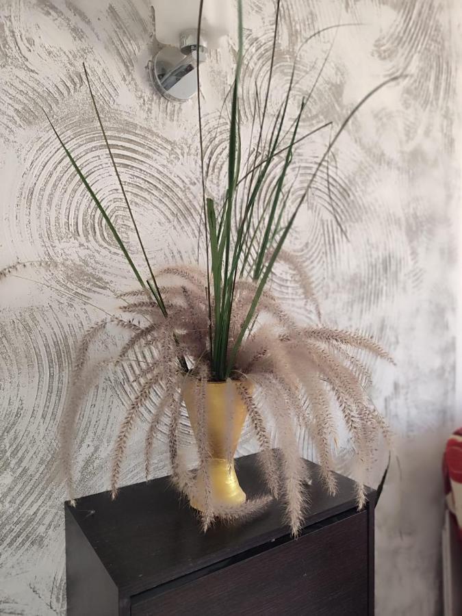 In Stella Makadi Apartment